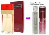 UP Essência 16 - Dolce & Gabbana